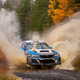 Illustration for article titled Rumor Roundup: What The Hell Is Going On With American Rallying?